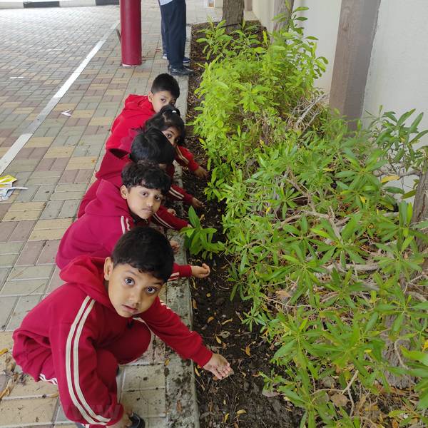 Class Nursery Green Little Fingers Activity 2023_24